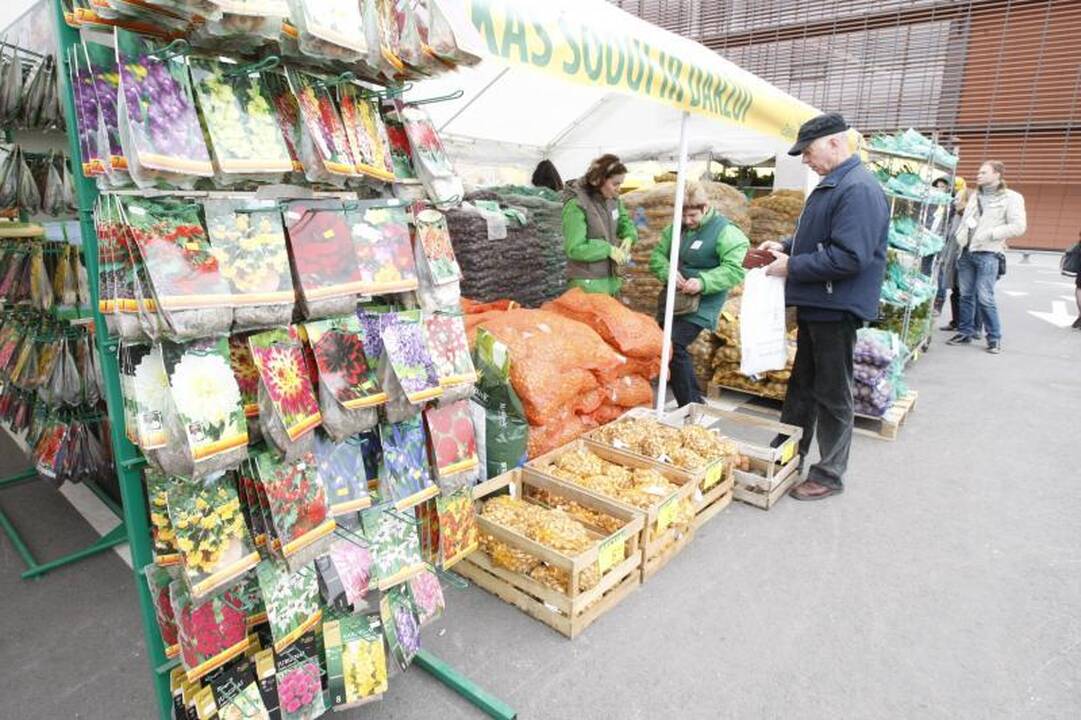Klaipėdoje lankytojų laukia jubiliejinė paroda „Individuali statyba"