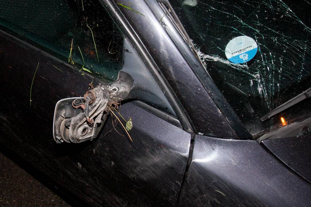 Vilniuje apvirtus automobiliui nukentėjo dešimtmetis vaikas
