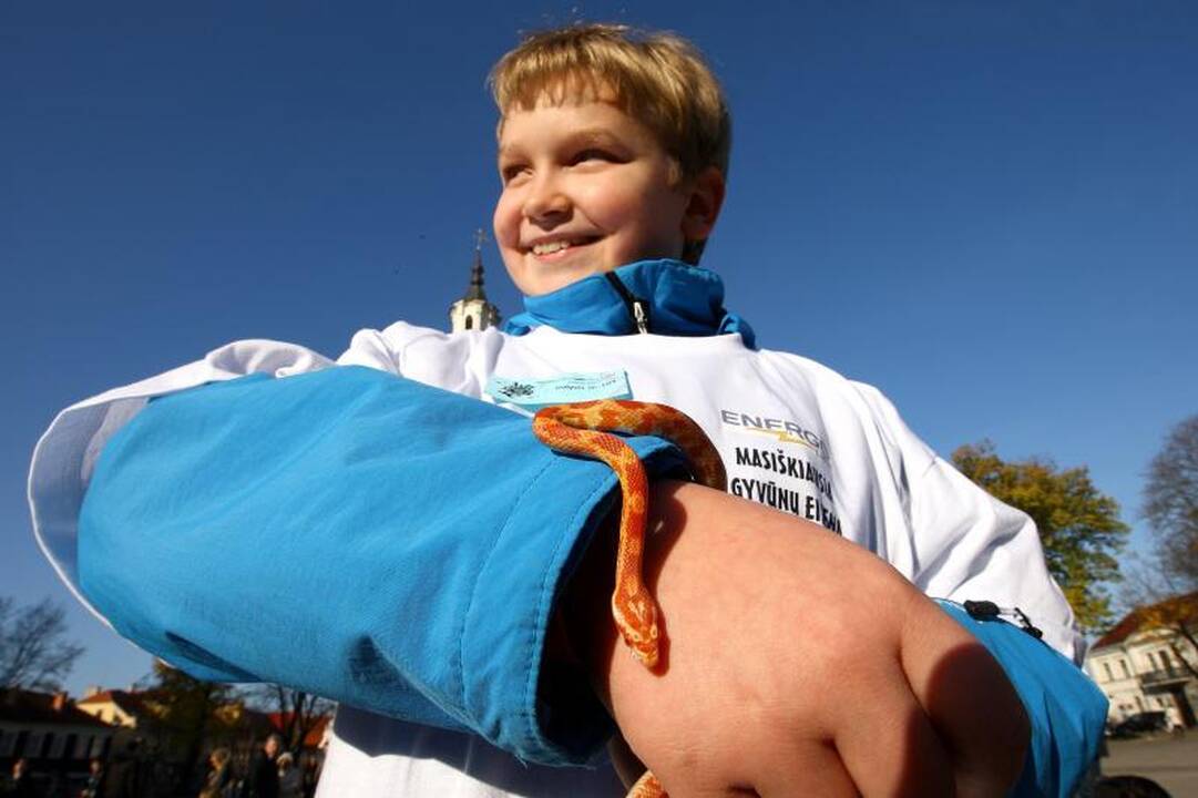 Rekordinėje gyvūnų eisenoje Kaune dalyvavo ir erkė 