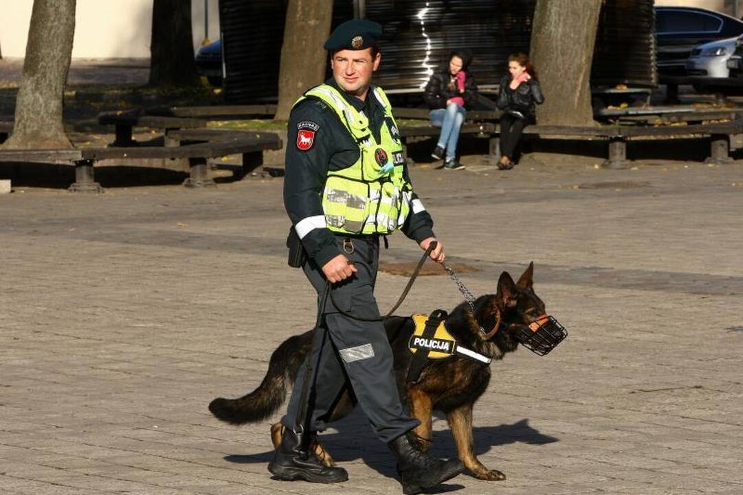 Rekordinėje gyvūnų eisenoje Kaune dalyvavo ir erkė 