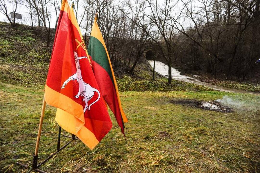 Atgijęs Marvelės slėnis – nauja erdvė koncertams?