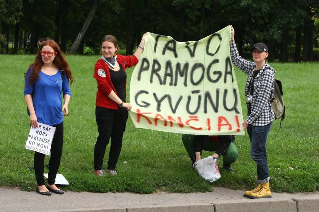 Ar S.Kymantaitės-Čiurlionienės muziejus išliks?