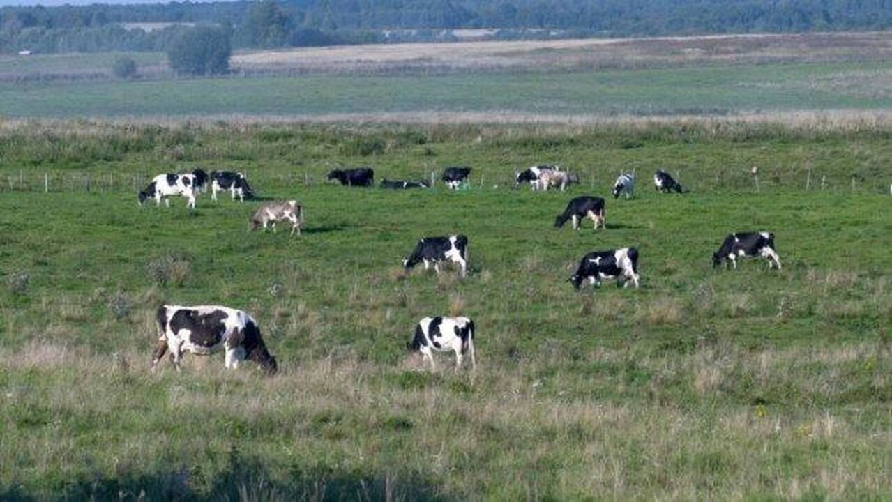 Nuo šiol žemę galės įsigyti tik tie, kas ją dirba, o ne perparduoda