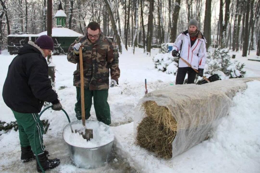 Lokiui Kasparui atminti – dvi dienas kurta sniego skulptūra