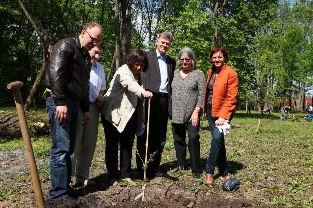 Garsi orangutangų globėja Fredoje sodino ąžuolus
