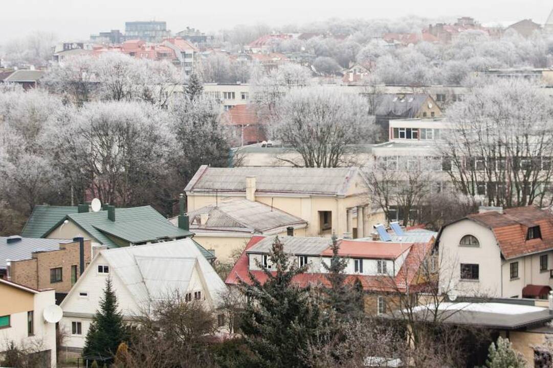 Kino kūrėjai: speigai Vilniuje – geriausia proga filmuoti Sibirą