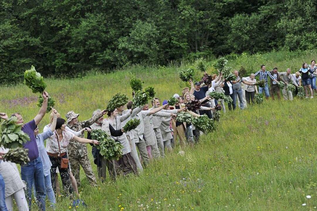 Vanojimo rekorde dalyvavo 309 pirčių mėgėjai