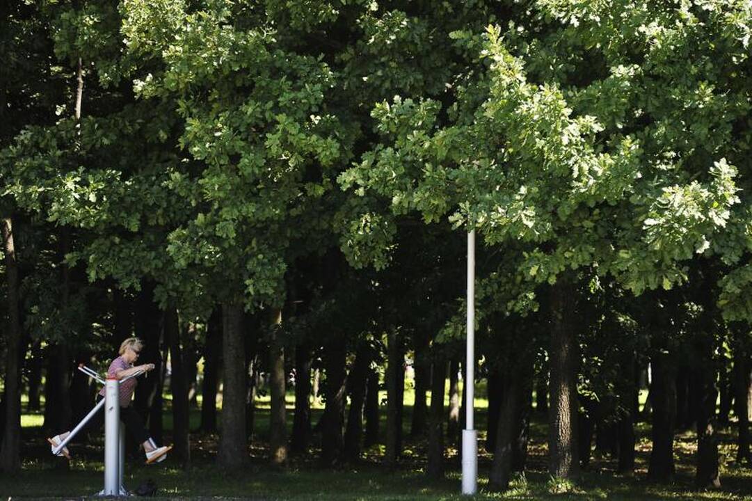 Kauniečiai traukia sportuoti į miesto parkus