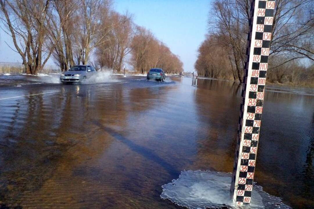 "Litexpo" renkasi floristikos mėgėjai