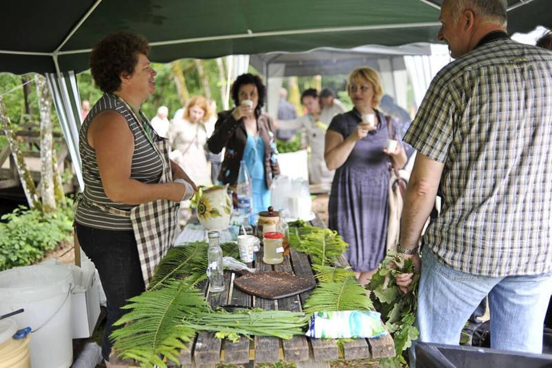 Vanojimo rekorde dalyvavo 309 pirčių mėgėjai