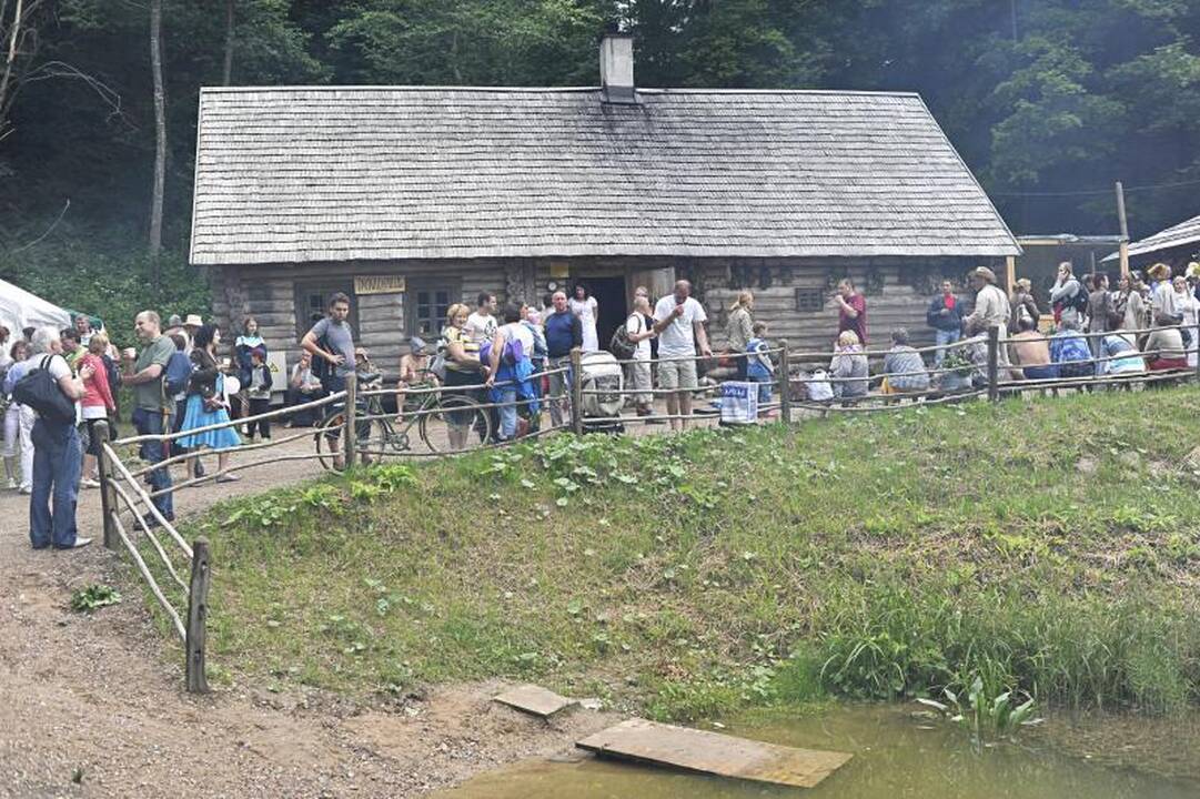 Vanojimo rekorde dalyvavo 309 pirčių mėgėjai