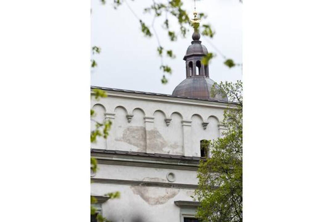 A.Gelūnas žada aiškintis dėl Valdovų rūmų statybų kokybės