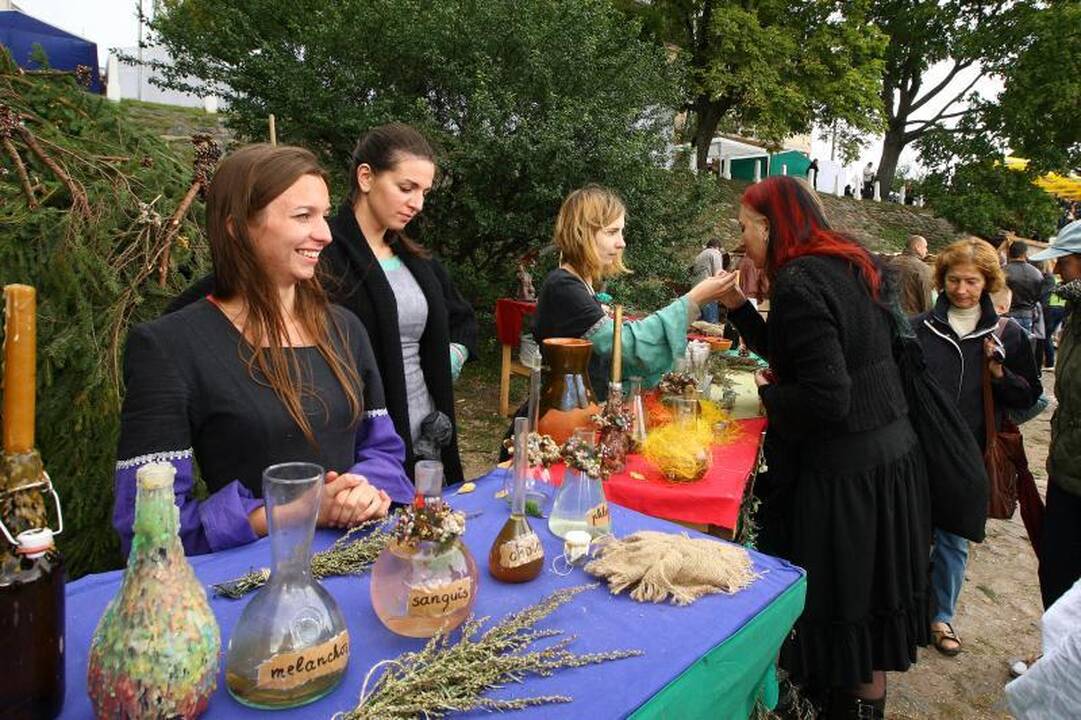 Kaune  vėl   karaliauja   Hanzos  šventė
