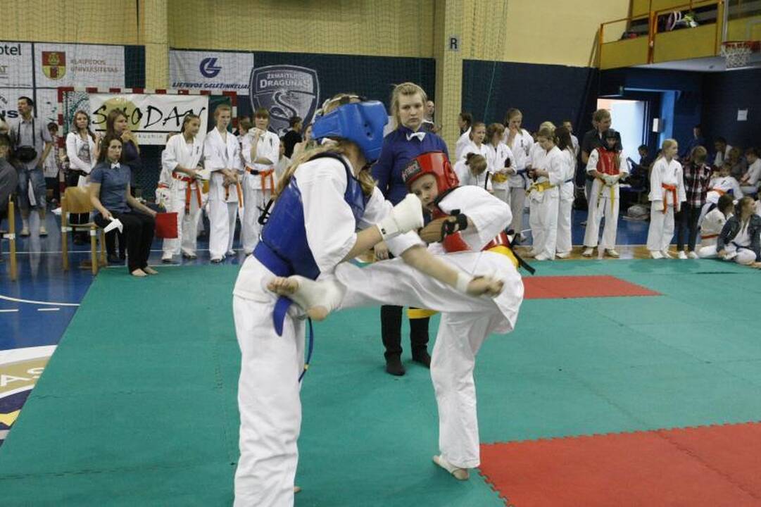 Klaipėdoje - karate kiokušin „Baltijos“ taurės varžybos