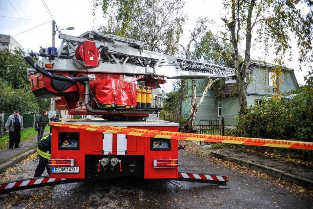 Vėjo išversti medžiai    nuklojo Kauną  