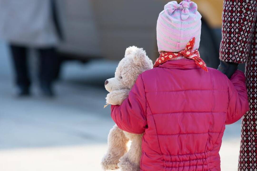 Dėl D.Kedytės ir kitų Lietuvos vaikų teisių apgynimo