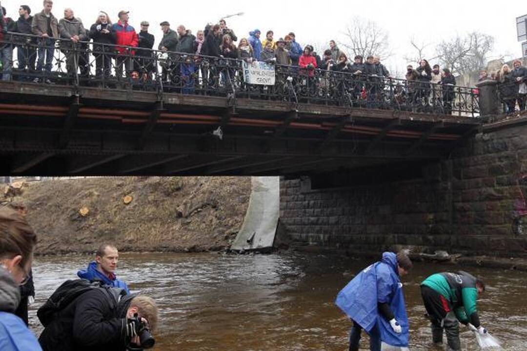 Linksmiausi miesto melagiai – Užupio šventėje