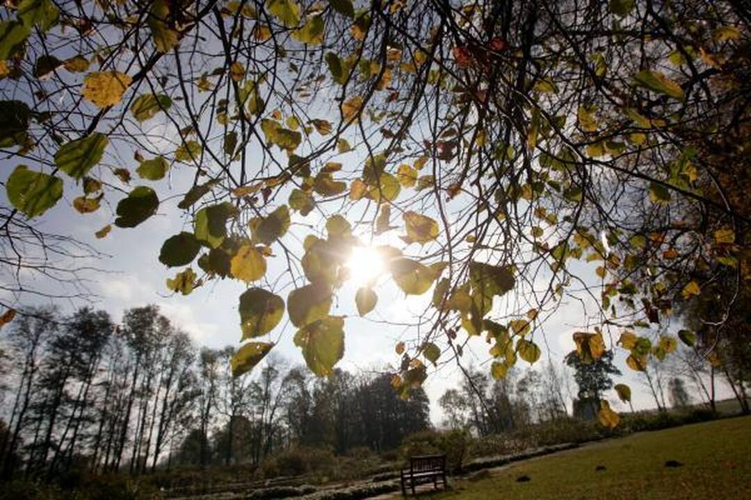 Pėsčiųjų žygių entuziastai kviečiami keliauti po Verkių regioninį parką