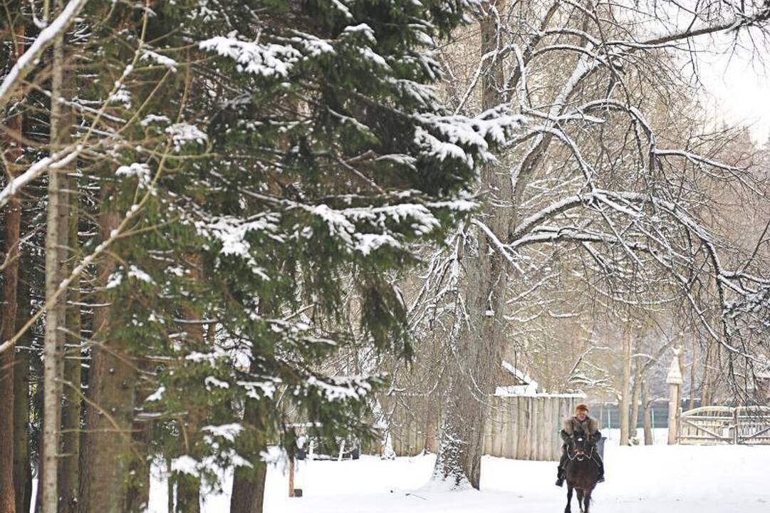 Žvėrių mylėtojo nepuola net ir alkani vilkai 