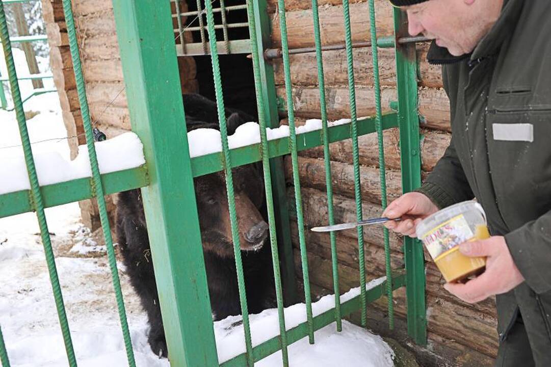 Žvėrių mylėtojo nepuola net ir alkani vilkai 