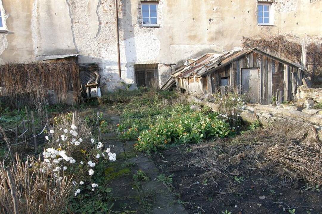 Bjauri dykynė Vilniaus senamiestyje - galvos skausmas gimnazijai