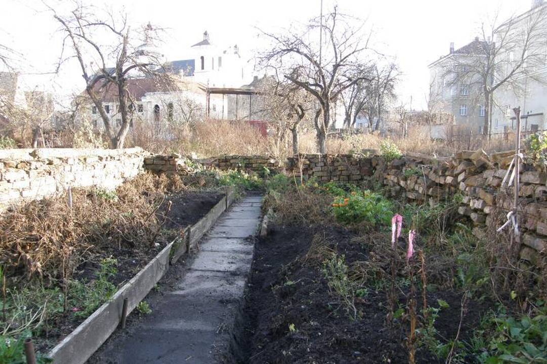 Bjauri dykynė Vilniaus senamiestyje - galvos skausmas gimnazijai
