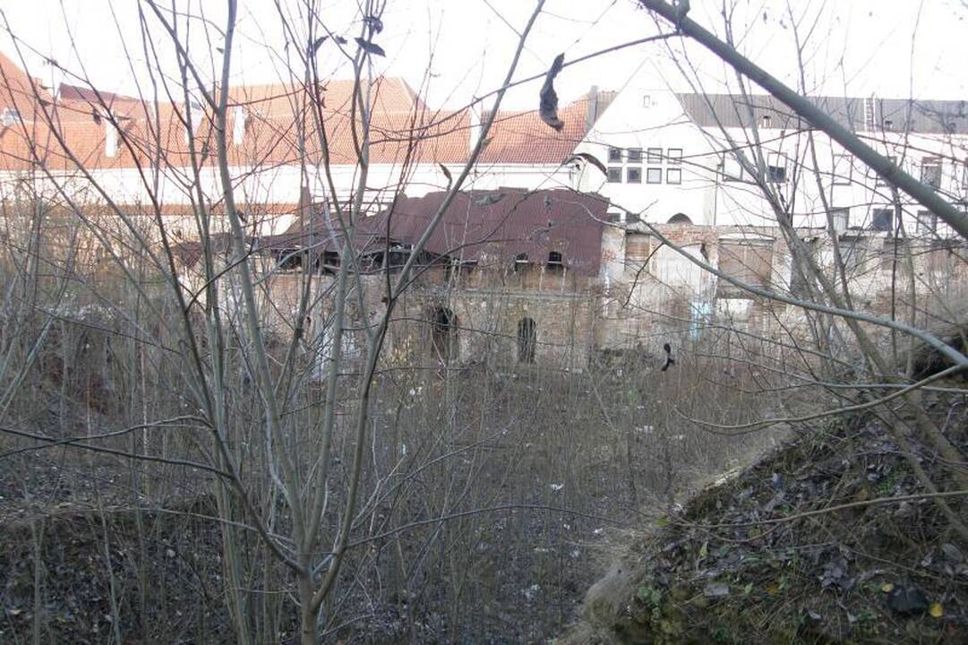 Bjauri dykynė Vilniaus senamiestyje - galvos skausmas gimnazijai