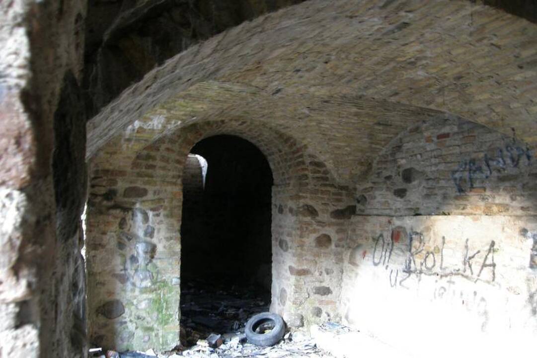 Bjauri dykynė Vilniaus senamiestyje - galvos skausmas gimnazijai