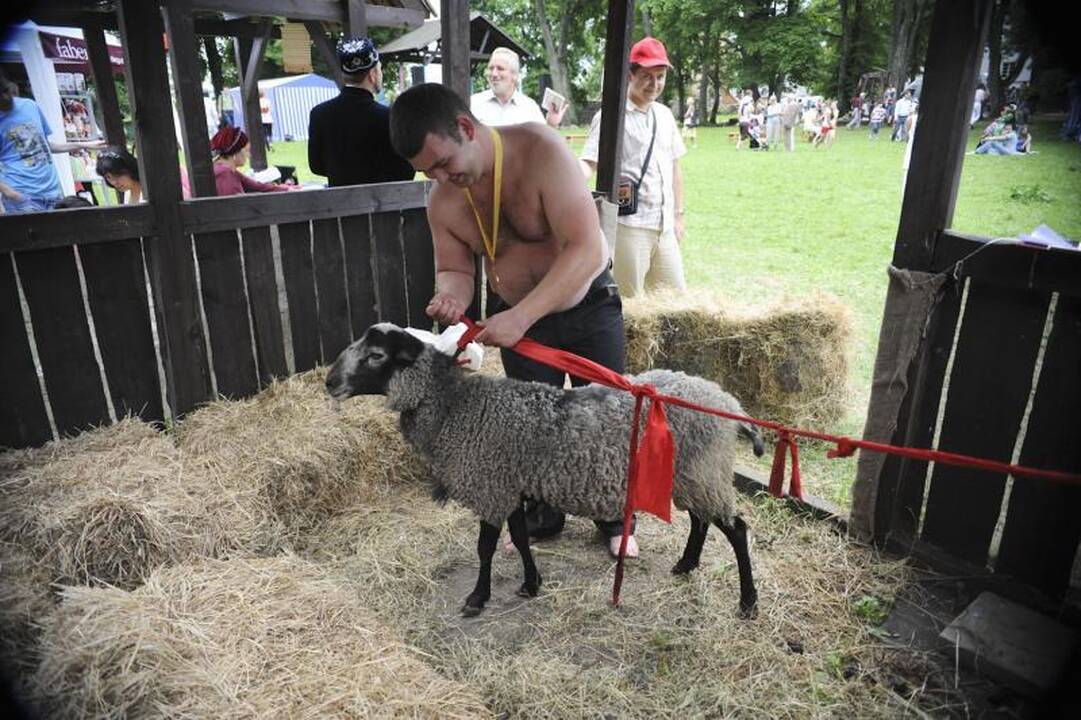  Trakuose šurmuliavo totorių sabantujus 