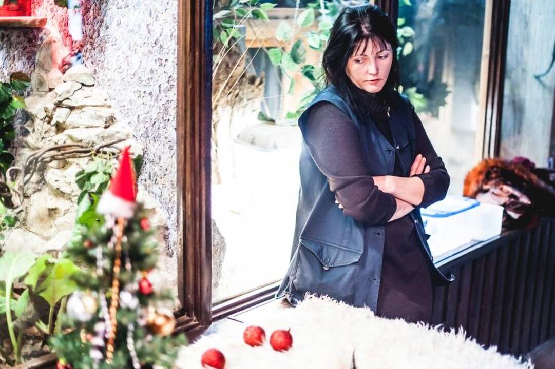 Kitąmet kauniečiai masiškai pirks gyvates?