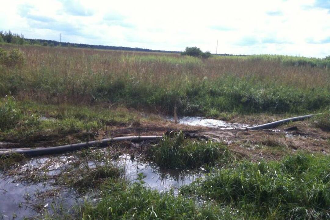 Kiaulių komplekso kaimynystėje – srutomis laistomi laukai
