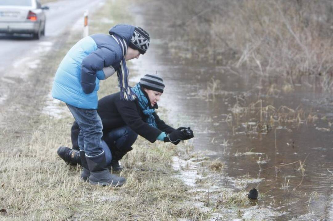 Potvynis Šilutės rajone pamažu traukiasi