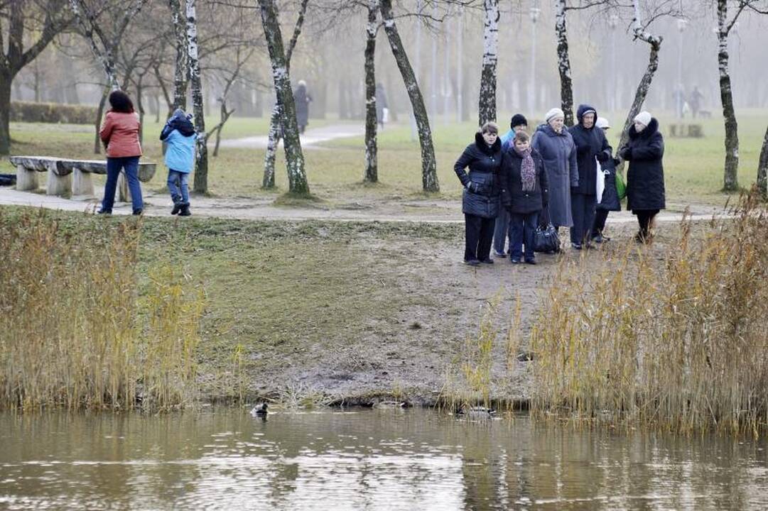 Iš Kalniečių parko nutrijos iškeliaus į geradarių sodybas