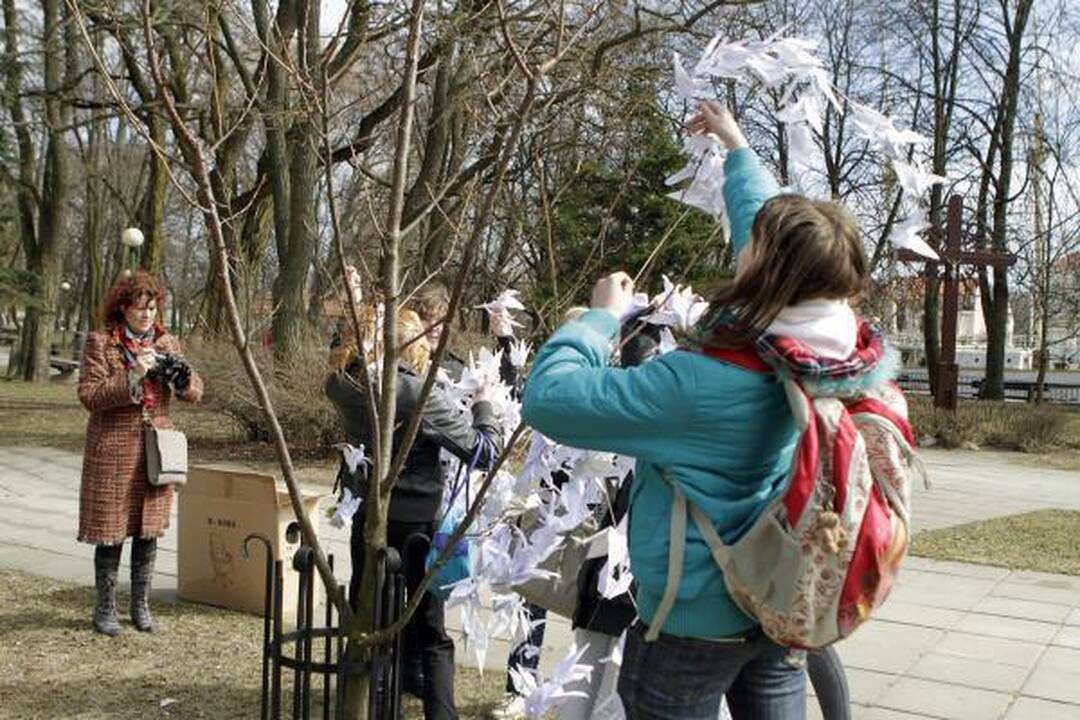 Klaipėdos parama Kudži: popierinės gervės nutūpė ant sakūrų
