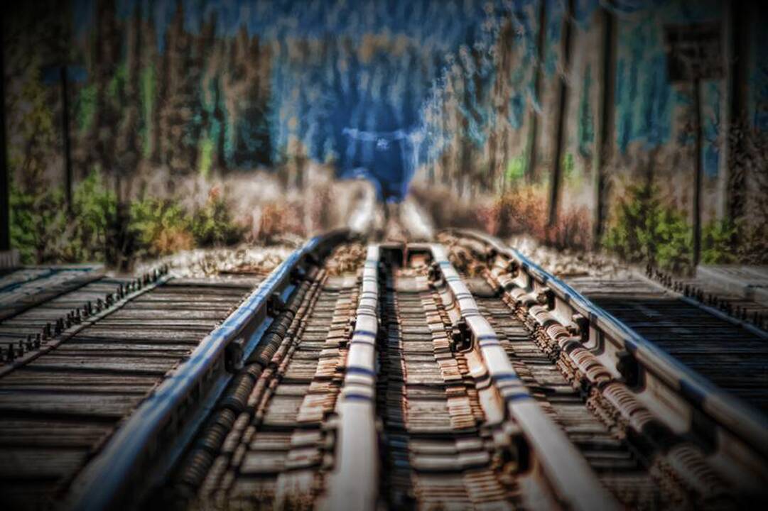 „Rail Baltica“ vėžė – jau Lietuvos teritorijoje