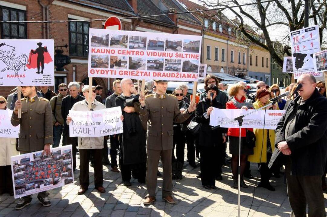 I.Vaškelienė filmavo protestuojančius architektus