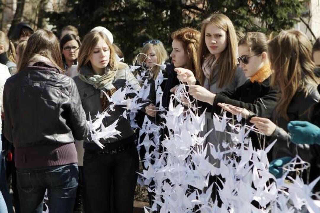 Klaipėdos parama Kudži: popierinės gervės nutūpė ant sakūrų