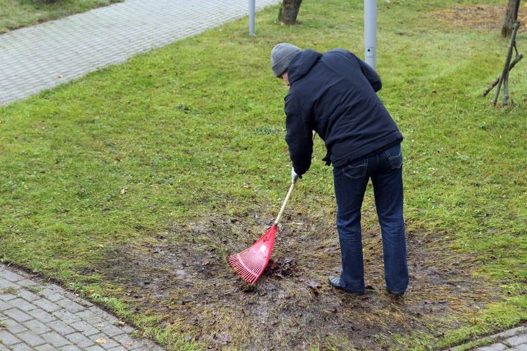 Afganistano karo veteranai šeštadienį susirinko į kasmetę talką