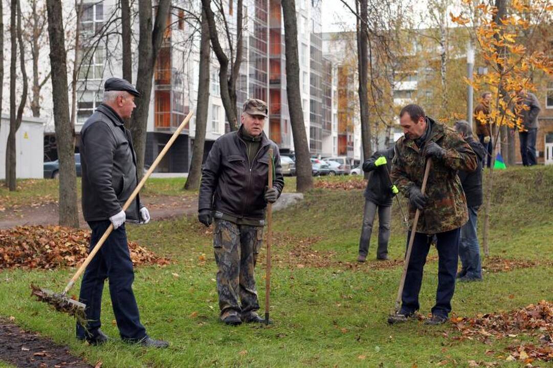 Afganistano karo veteranai šeštadienį susirinko į kasmetę talką