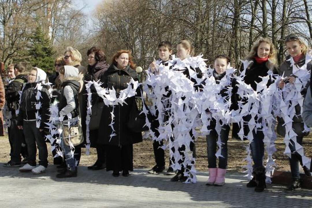 Klaipėdos parama Kudži: popierinės gervės nutūpė ant sakūrų