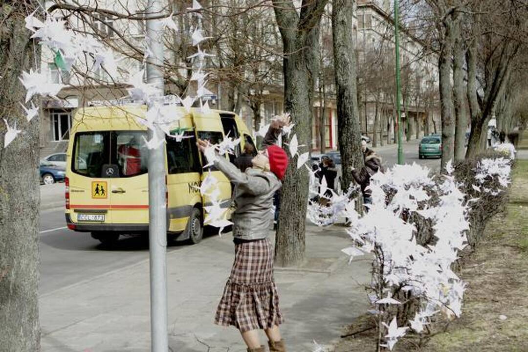 Klaipėdos parama Kudži: popierinės gervės nutūpė ant sakūrų