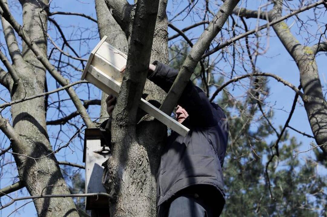 Žemės dieną Klaipėdoje šventė jaunoji karta