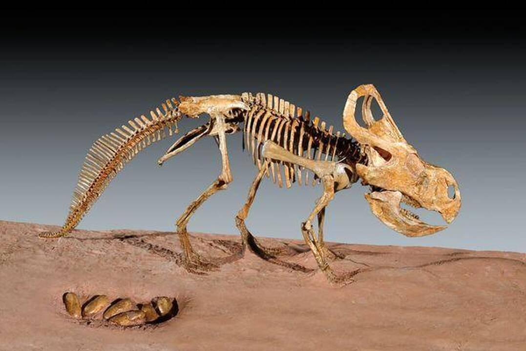 Atrastas dinozaurų lizdas atskleidė reptilijų švelnumą