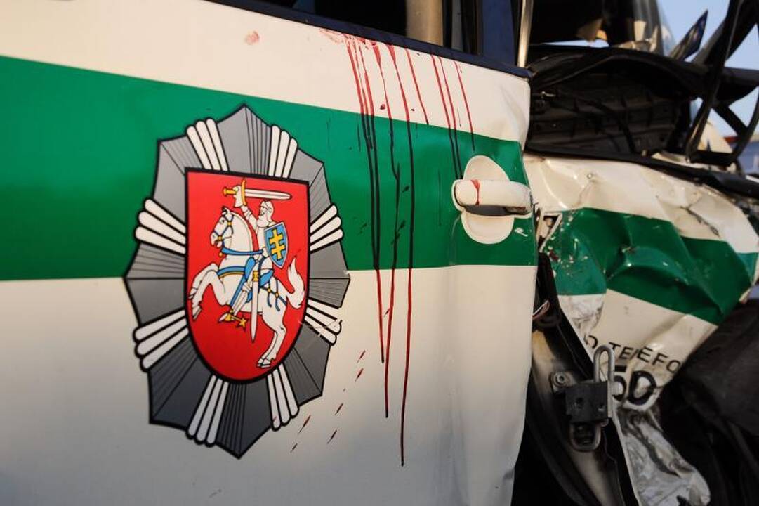 Avarijos sukėlimu įtariamas S.Proninos žentas suimtas 20 parų
