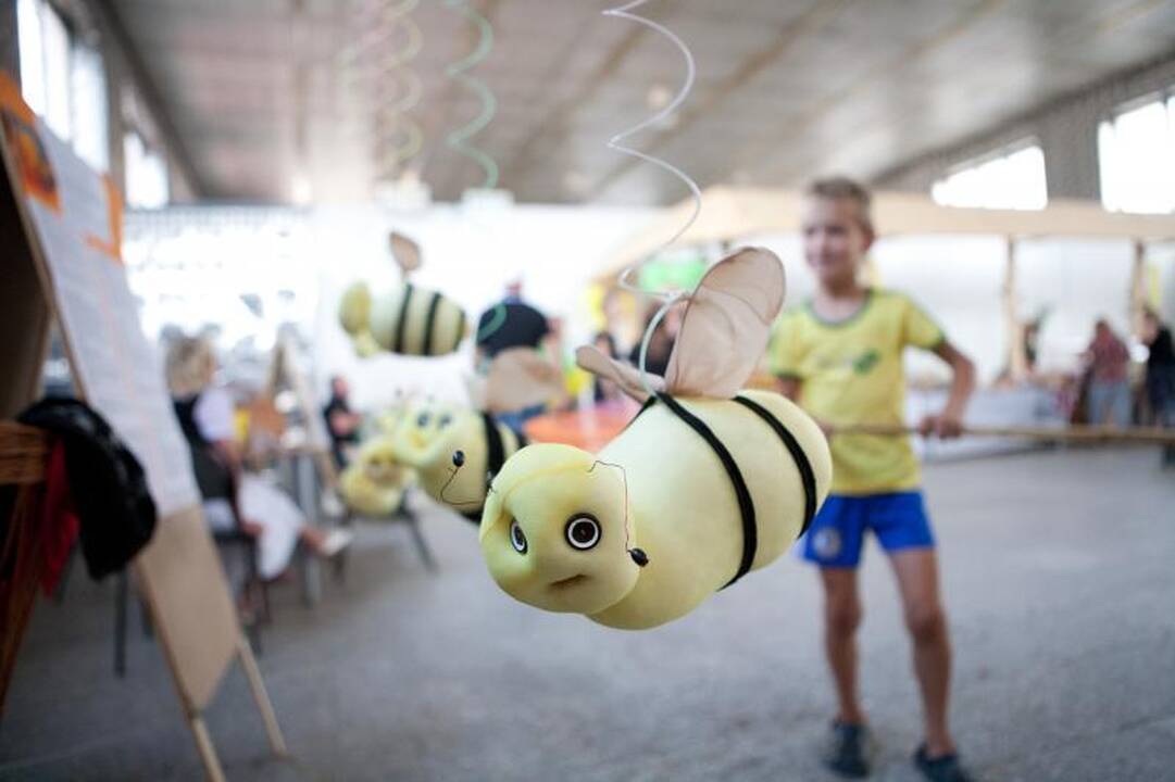 Vilniečius ir sekmadienį kvies Medaus šventė