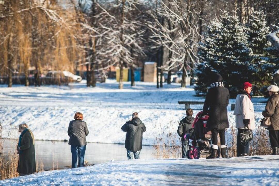 Kalniečių parke nutrijos paliktos ant ledo