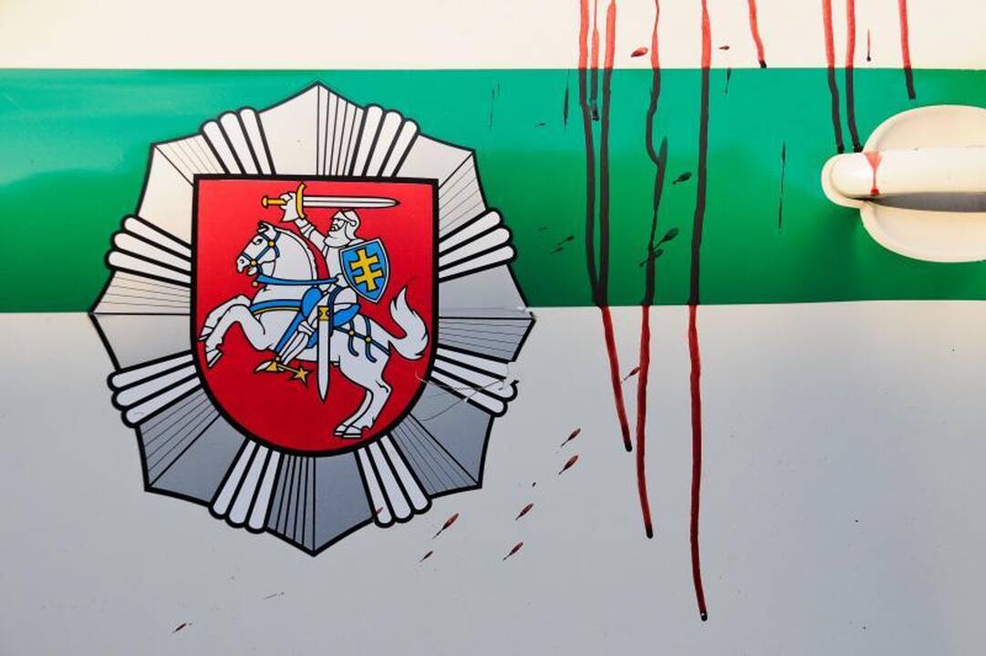 Avarijos sukėlimu įtariamas S.Proninos žentas suimtas 20 parų