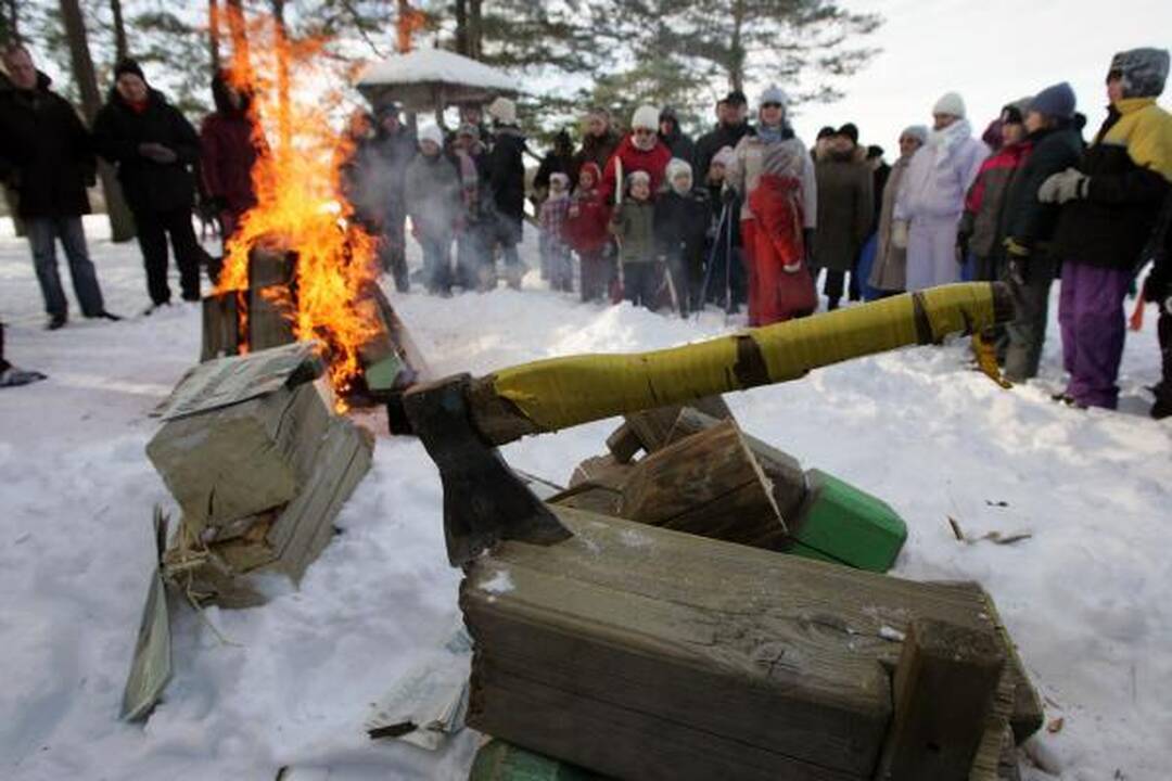 Šalčių nepabūgę ruoniai turškėsi Salotės ežere