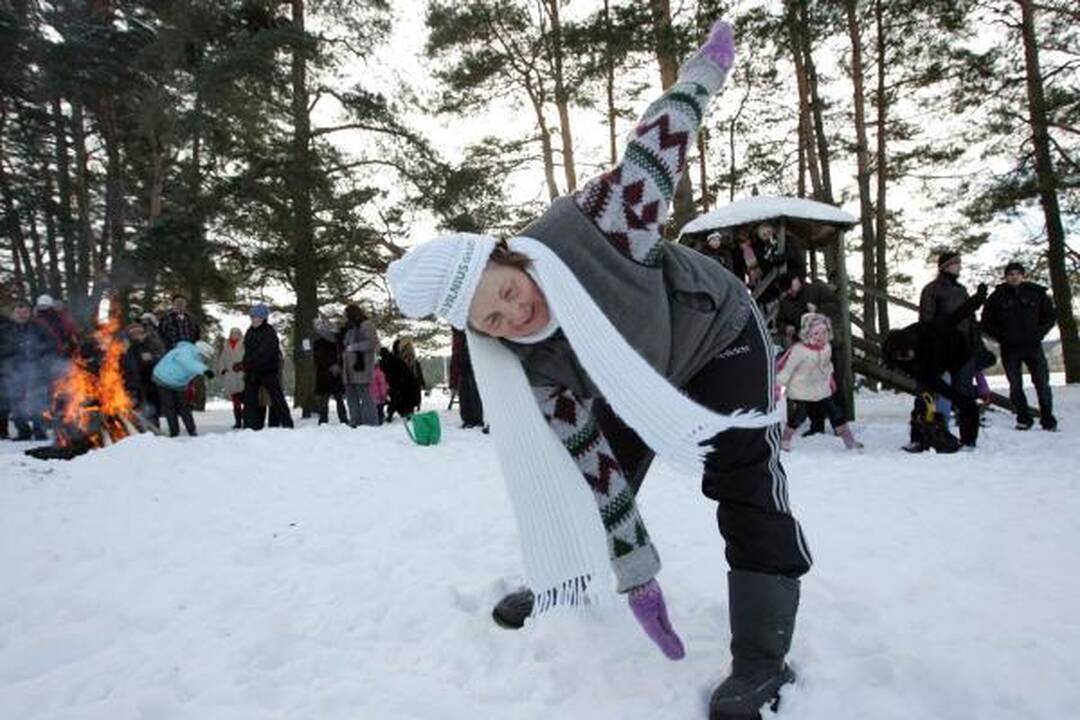 Šalčių nepabūgę ruoniai turškėsi Salotės ežere
