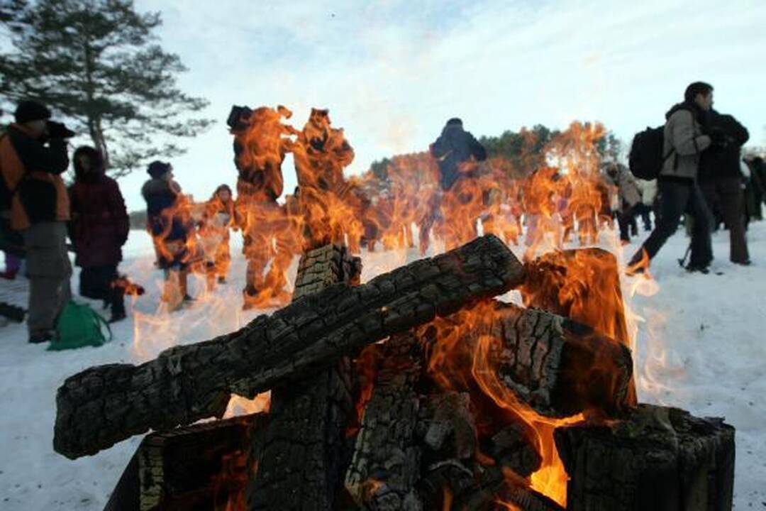 Šalčių nepabūgę ruoniai turškėsi Salotės ežere